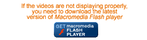 Download Latest Flash Player